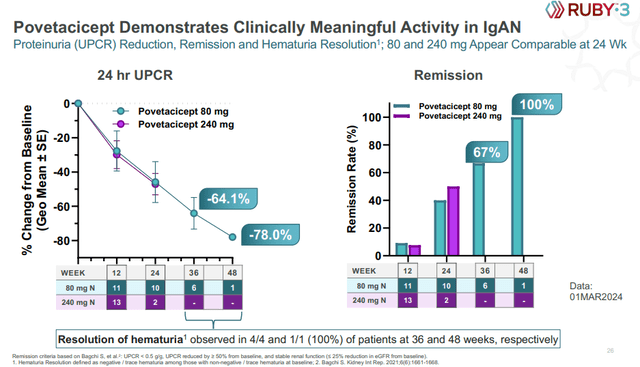 Povetacicept's proteinuria reductions and remission rates in the phase 1b/2 trial